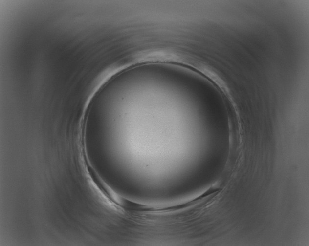 X0000051871392200506241336