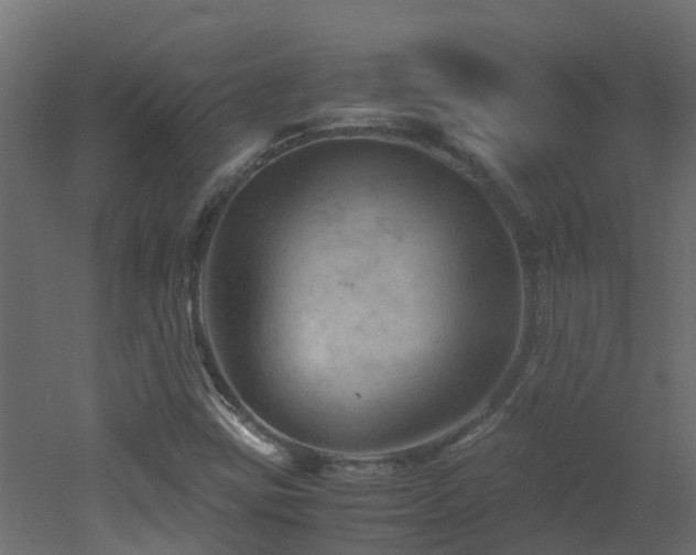 X0000051871403200506241335