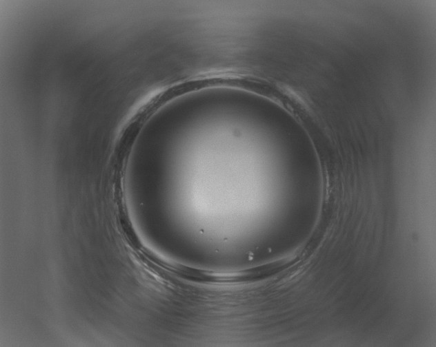 X0000051871406200506241335