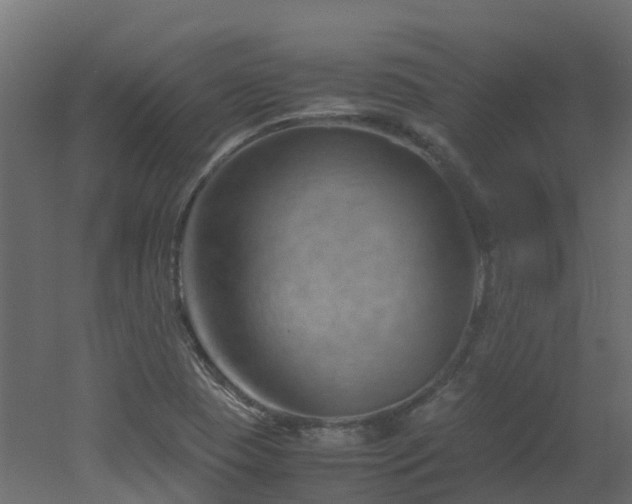 X0000051871409200506241335