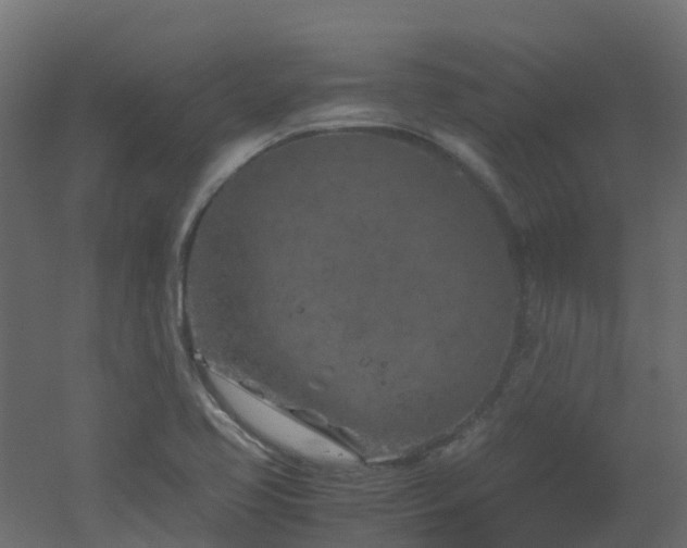 X0000051871413200506241335