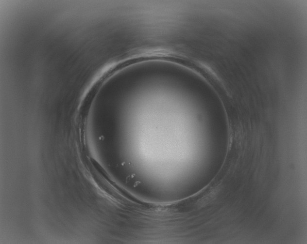 X0000051871414200506241335