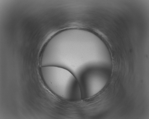 X0000051871415200506241335