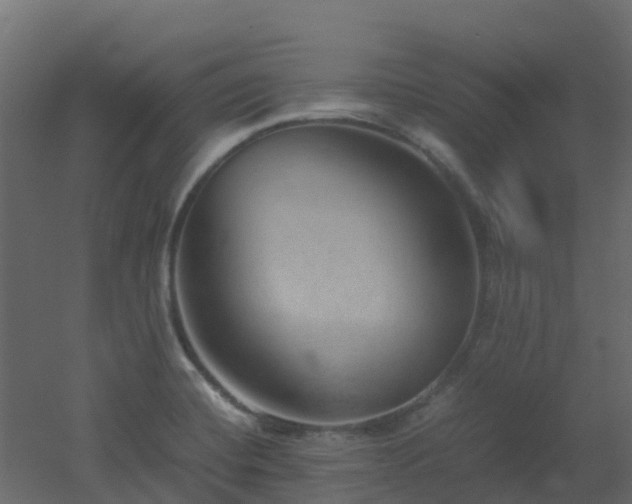 X0000051871420200506241335