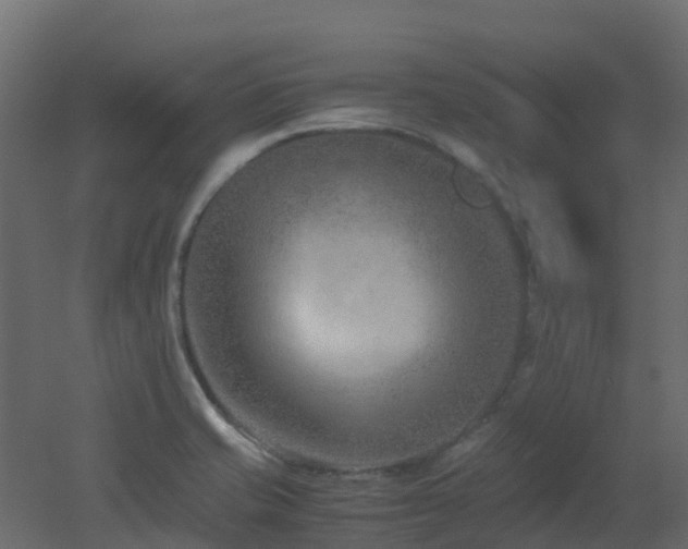 X0000051871421200506241335