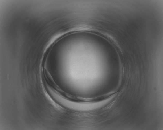 X0000051871422200506241335
