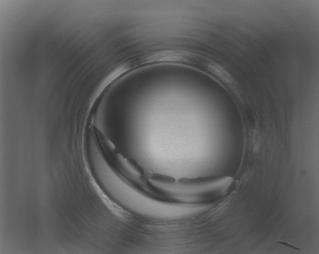 X0000051871426200506241335