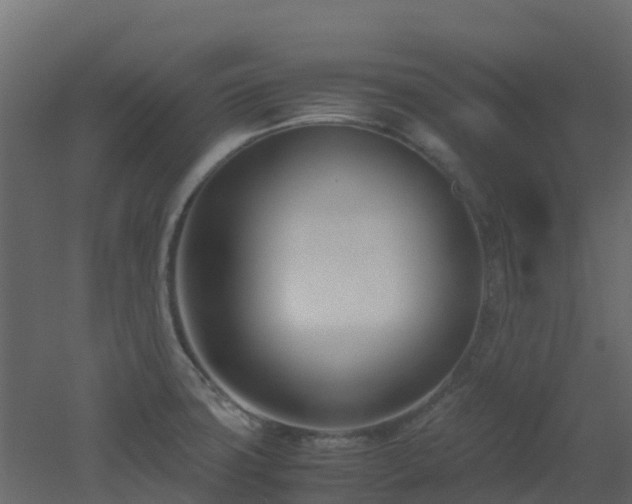 X0000051871427200506241335