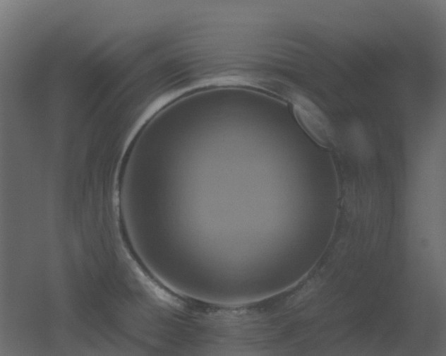 X0000051871428200506241335