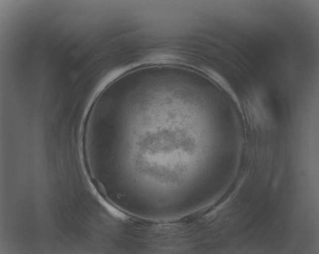 X0000051871437200506241336