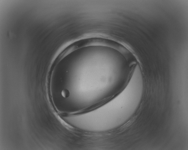 X0000051871438200506241336