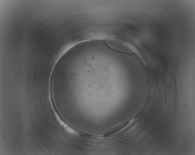 X0000051871439200506241336