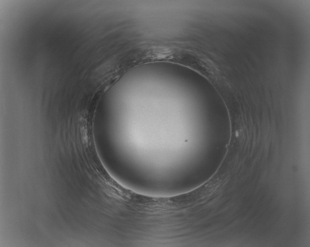X0000051871442200506241335