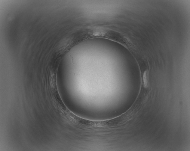 X0000051871443200506241335