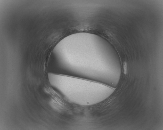 X0000051871444200506241335