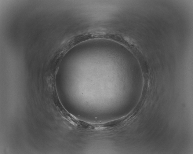X0000051871445200506241335