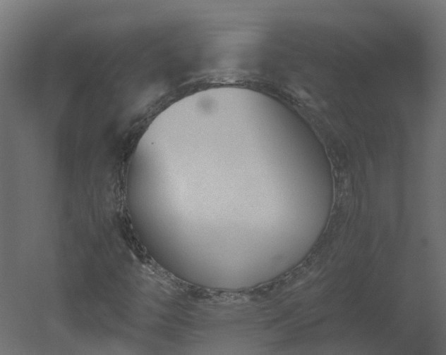 X0000051871446200506241335