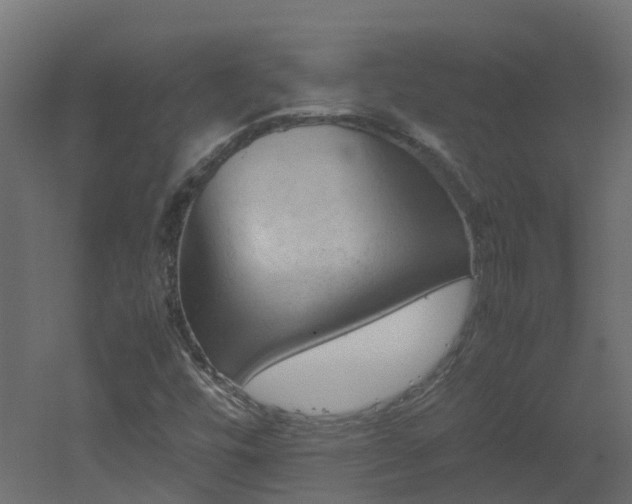 X0000051871448200506241335