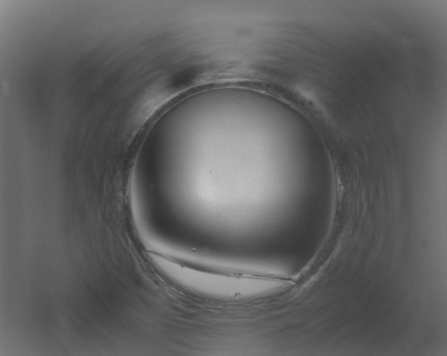 X0000051871457200506241335