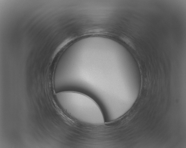 X0000051871458200506241334