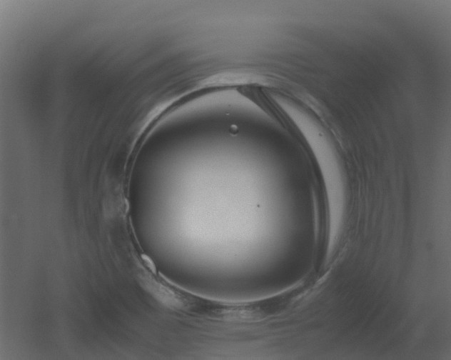X0000051871465200506241334