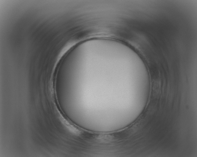 X0000051871466200506241334