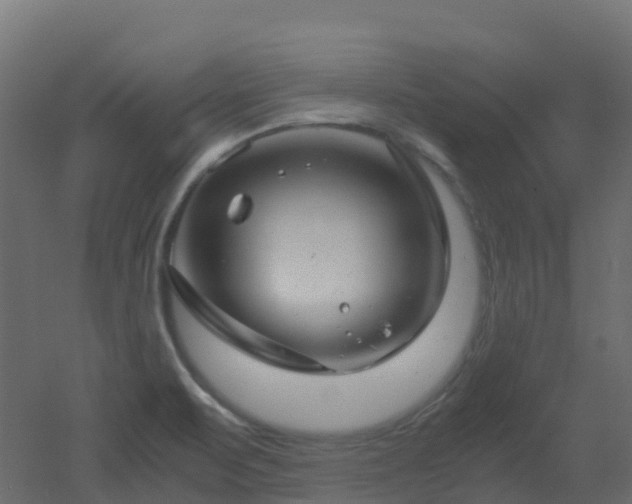 X0000051871471200506241334