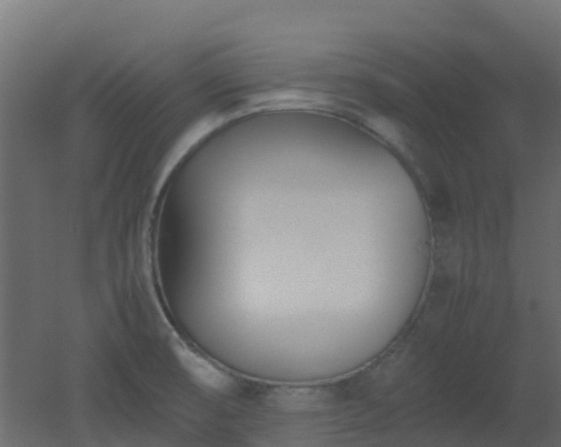 X0000051871474200506241334