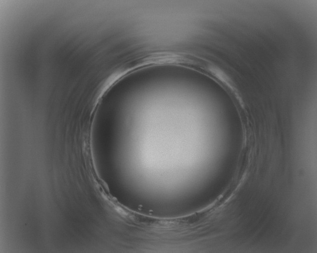 X0000051871481200506241334
