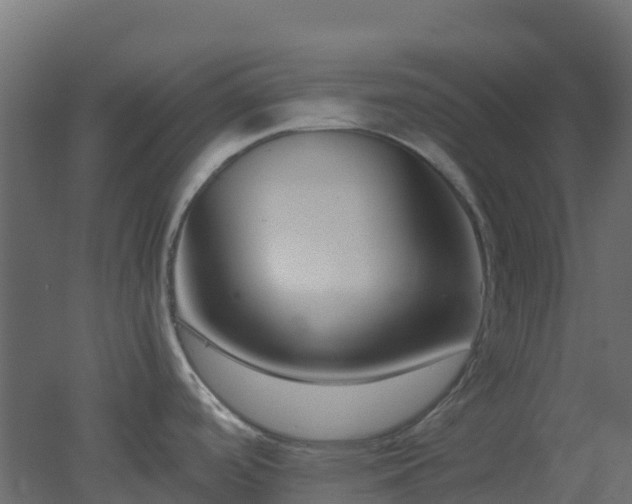 X0000051871488200506241334