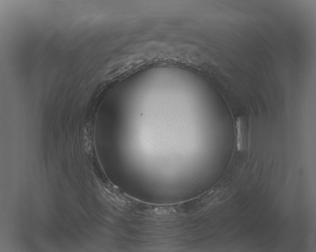 X0000051871491200506241333