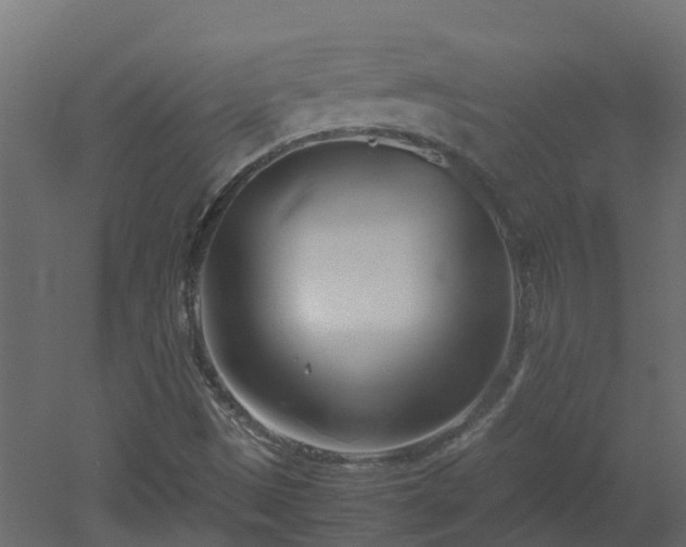 X0000051871497200506241333