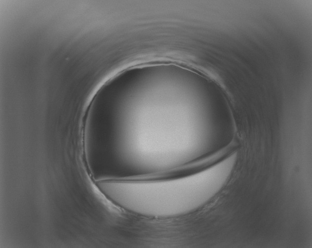 X0000051871524200506241334