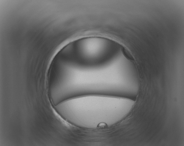 X0000051871527200506241334