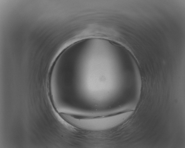 X0000051871531200506241334
