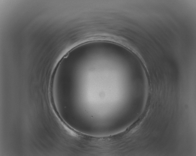 X0000051871533200506241334