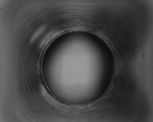 X0000051870002200507020017