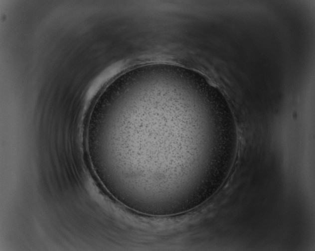 X0000051870006200507020017