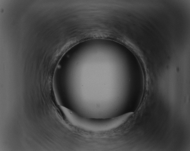 X0000051870009200507020017