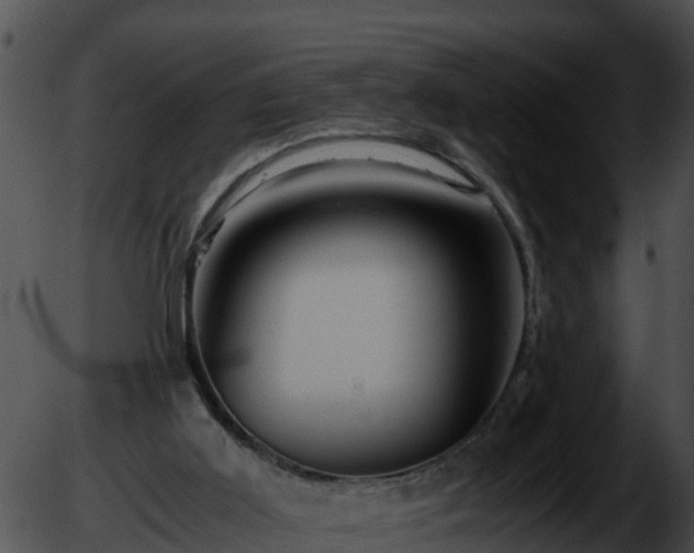 X0000051870011200507020017