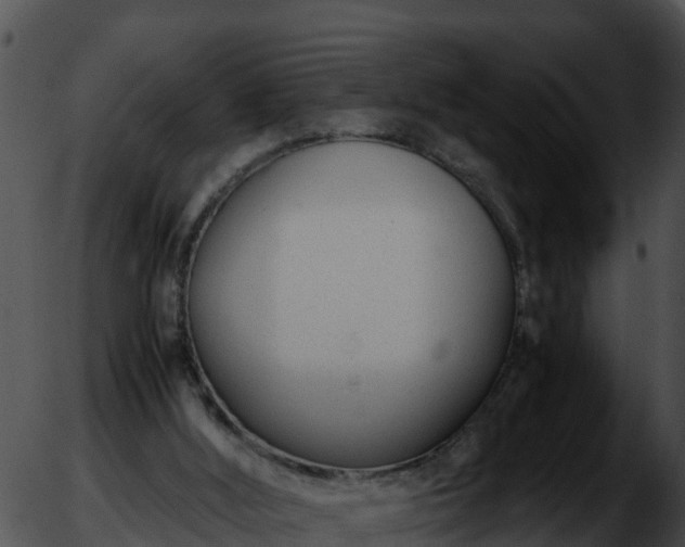 X0000051870012200507020017