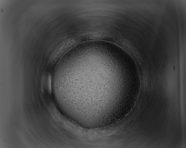 X0000051870022200507020017