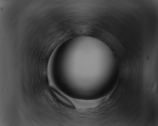 X0000051870040200507020017