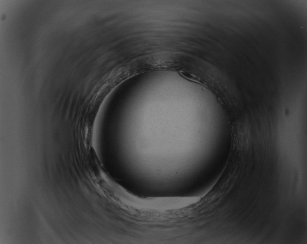 X0000051870044200507020016