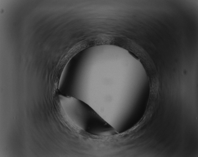 X0000051870045200507020016