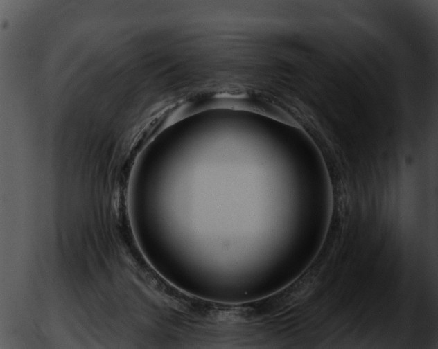 X0000051870072200507020016