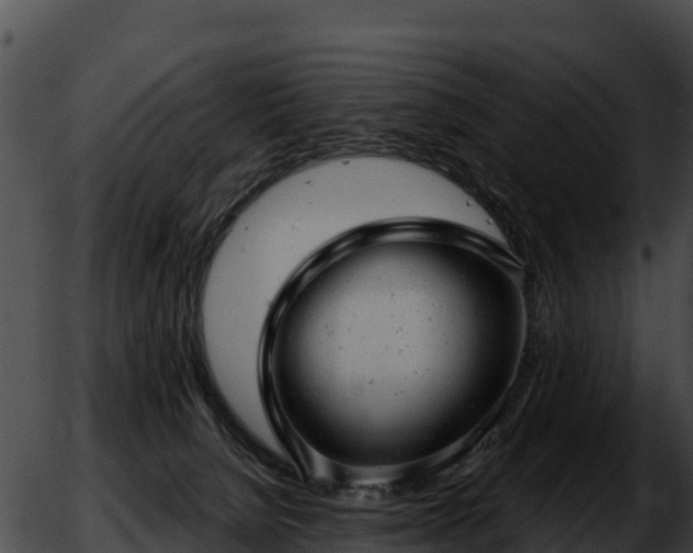 X0000051870080200507020016