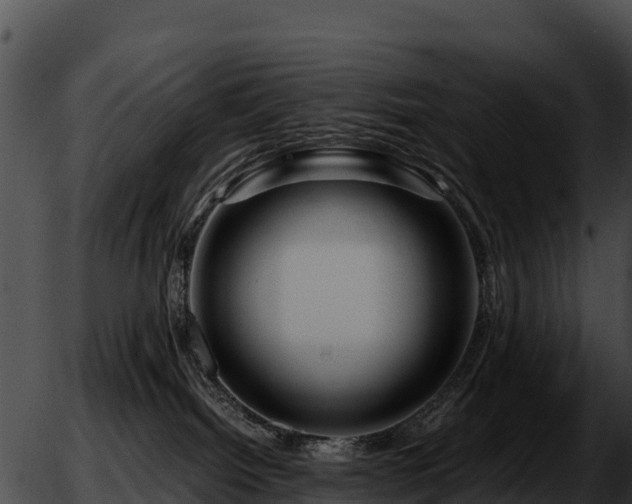 X0000051870092200507020016