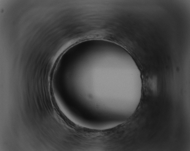 X0000051870100200507020016