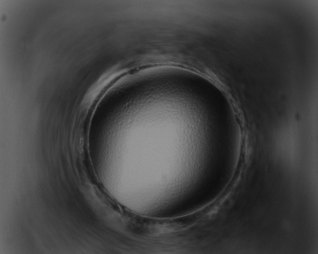 X0000051870103200507020015